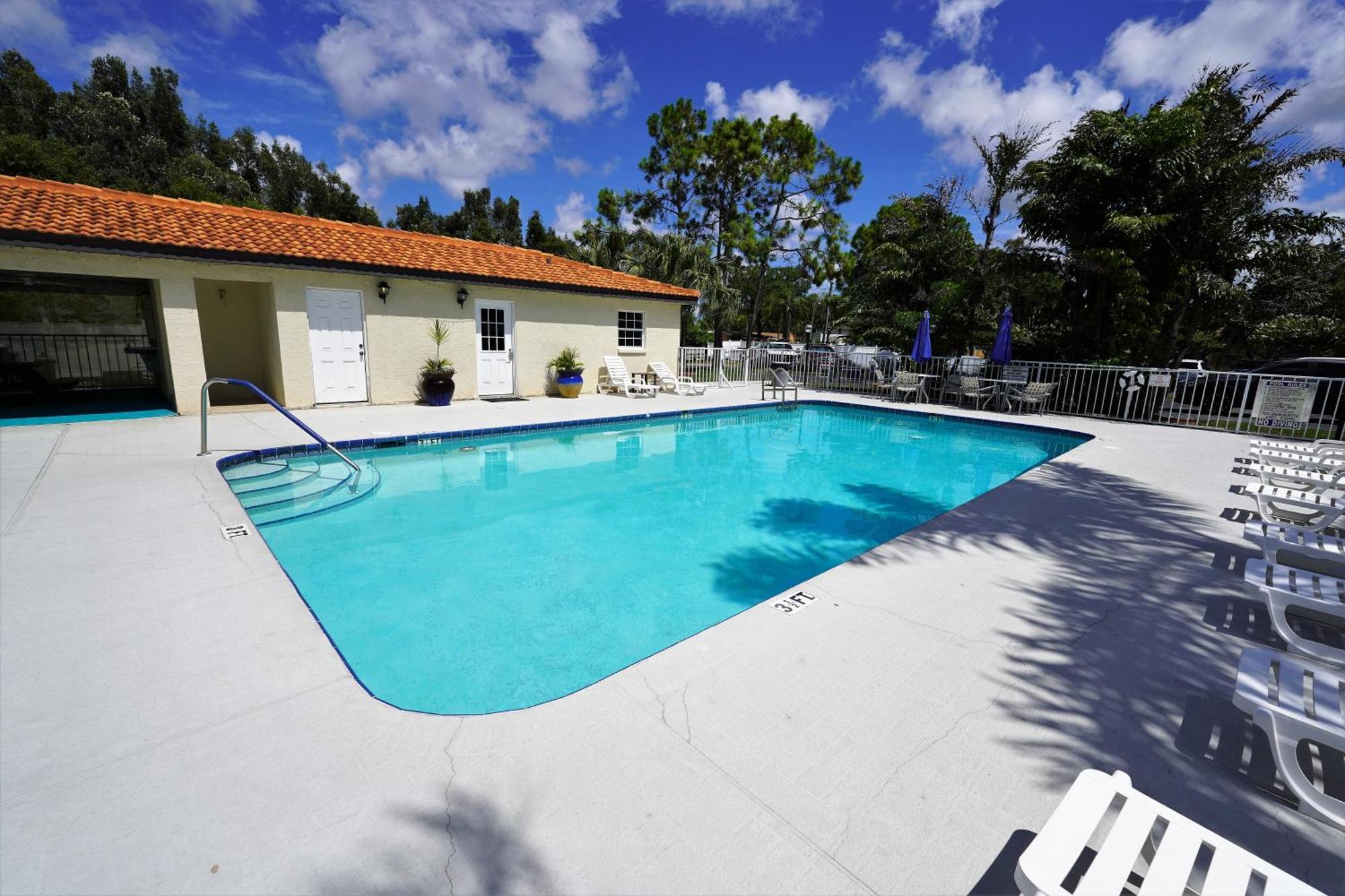 Florida Condos On Lake Tarpon Palm Harbor Buitenkant foto