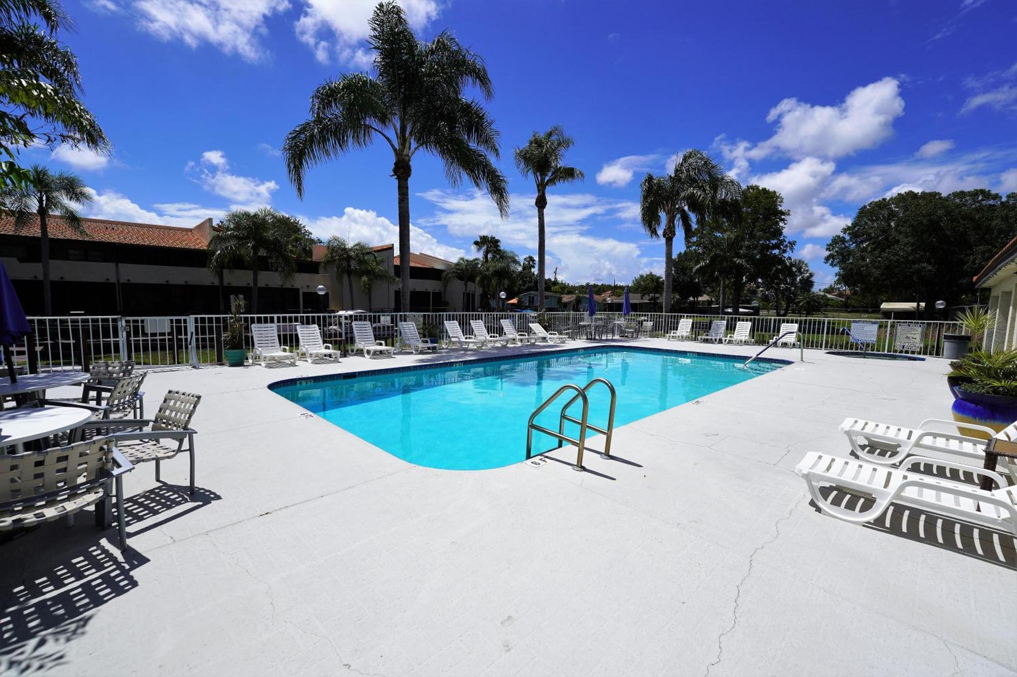 Florida Condos On Lake Tarpon Palm Harbor Buitenkant foto